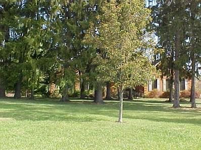1st image of 46 Yaples Orchard Dr