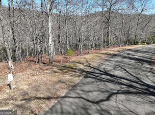 206 Northview Pkwy, Ellijay, GA 30536