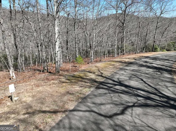 206 Northview Pkwy, Ellijay, GA 30536