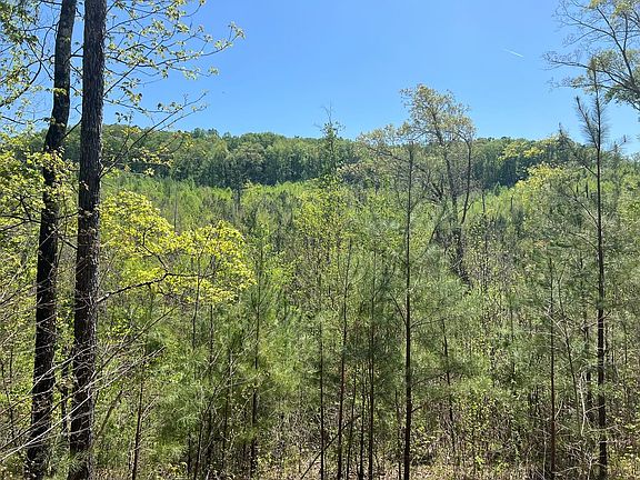 4th image of 1560 County Highway 26