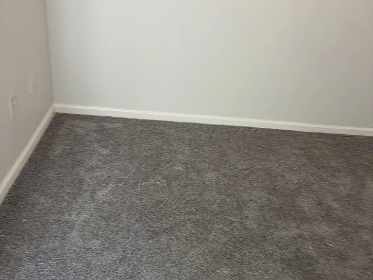 2 bed, 1.5 bath, $1,000 — Photo 4