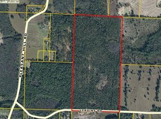 0 Leavins Rd, Bonifay, FL 32425