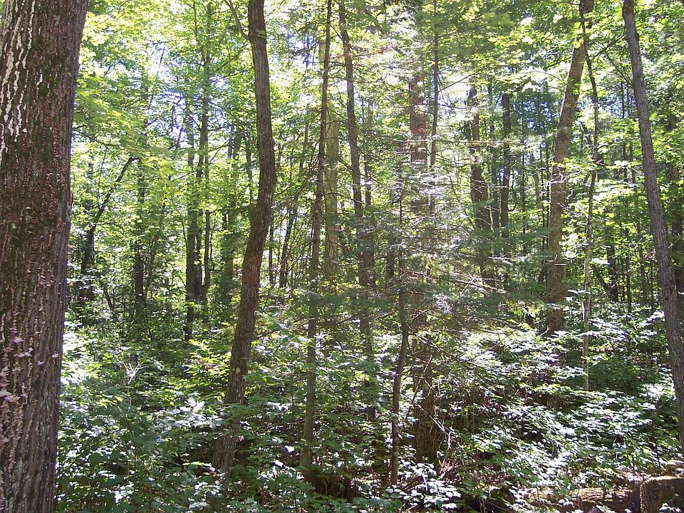 2nd image of On Frontier Cir W Lot 81