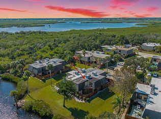 113 Cedar Dunes Dr, New Smyrna Beach, FL 32169