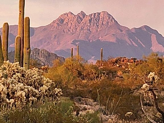 View from side yard of 4 Peaks, also great views of Superstions
