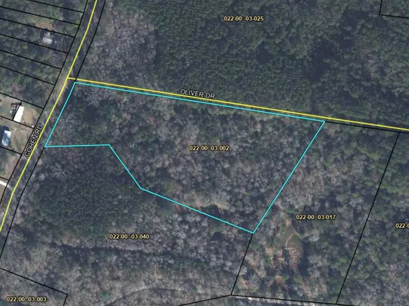 Tbd Cohen Road, Pineland, SC 29934
