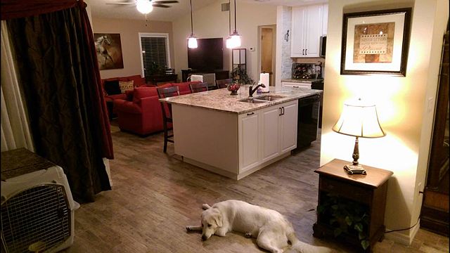 Newly remodeled Kitchen
