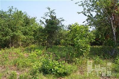 2nd image of 0 Pelican Walk LOT 20