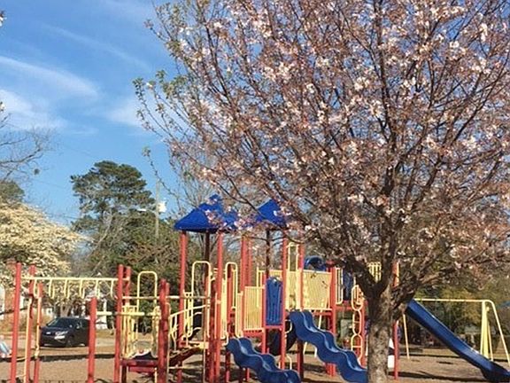 Walk to General Lee Park