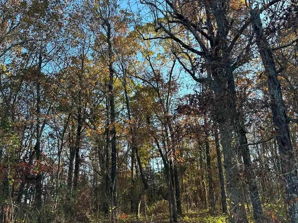 3987 Blackland Rd, Pleasant Plains, AR 72568