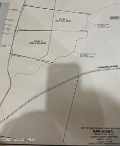 Lot 2 Dunbar Hollow Road, Westerlo, NY, 12193