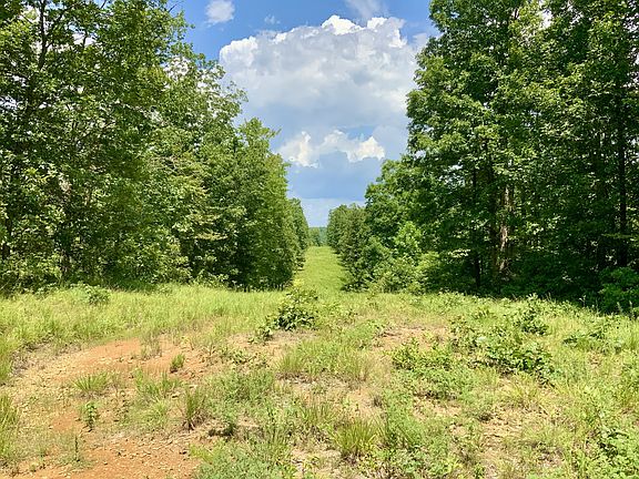3rd image of 0 Bear Creek Rd