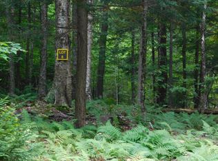 8 Gilbert Rd, Inlet, NY 13360