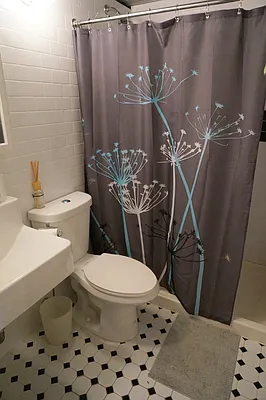 Rented by Compass | media 14