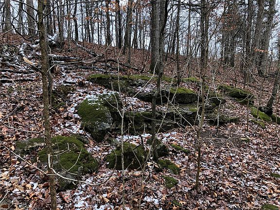 5th image of 2535 Alpine Woods Dr