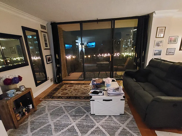 4 Monroe St #1108 — Photo 9
