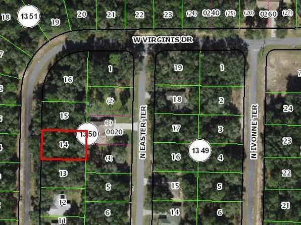 1194 W Virginis Dr, Citrus Springs, FL 34434