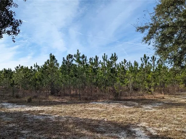 Dixie Hwy, High Springs, FL 32643