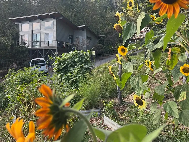 127 Sun Haven Ln — Photo 29