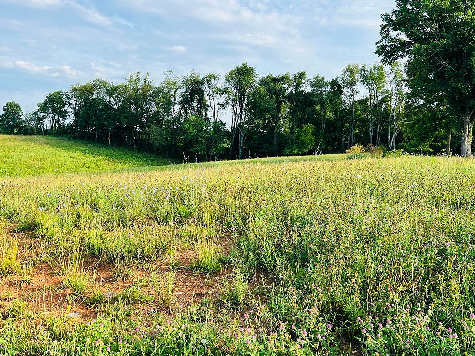 1st image of LOT 9 Park Ave