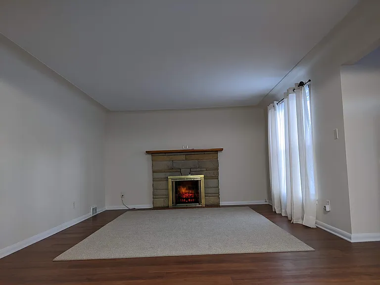 electric fireplace insert
