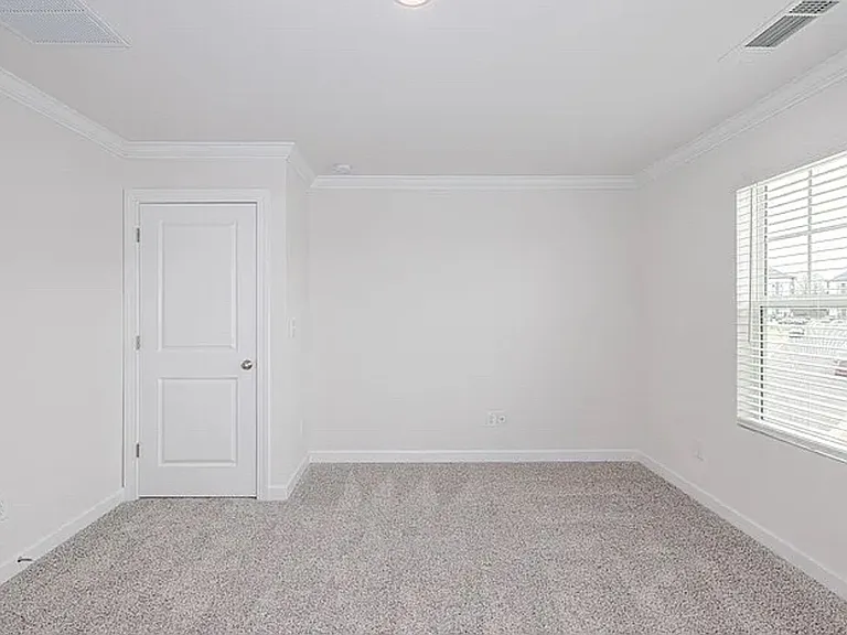 4415 Millennium Ave — Photo 38