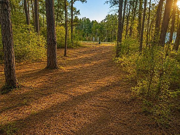 2nd image of 104 Coyote Run