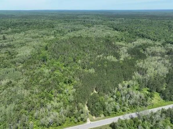 0 V/l #13, Bitely, MI 49309