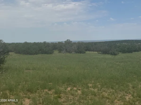 Lot 215 Woodland Valley Ranch -- #215, St Johns, AZ 85936