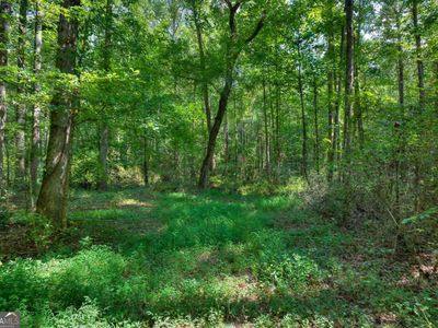 0 Randall Creek Dr, Canton, GA, 30115