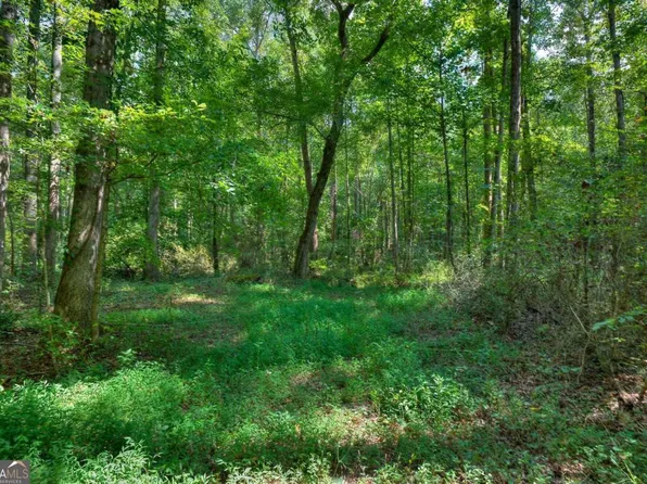 0 Randall Creek Dr, Canton, GA 30115