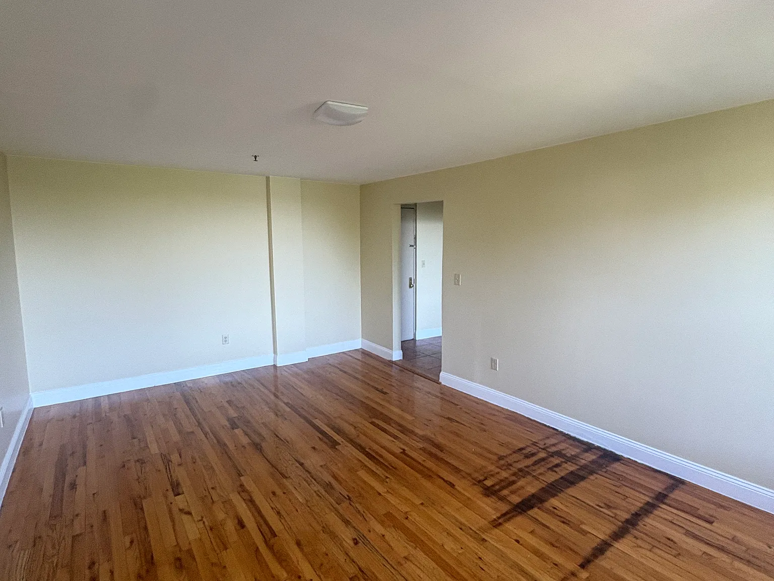1 bed, 800 sqft, $2,600 — Photo 3