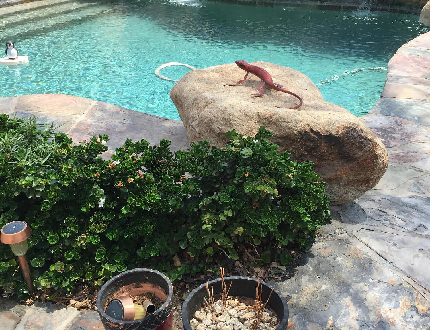 3 bed, 3.0 bath, 3505 sqft, $9,500 — Photo 1