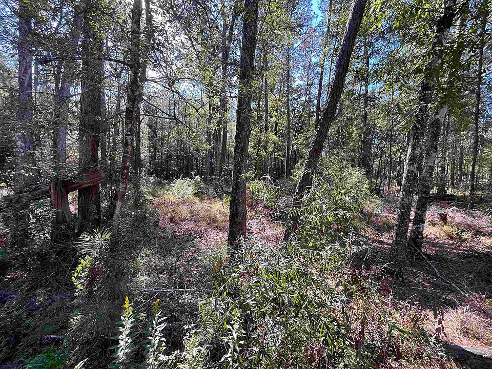 305 Private Road 5172, Kirbyville, TX 75956 MLS 243339 Zillow