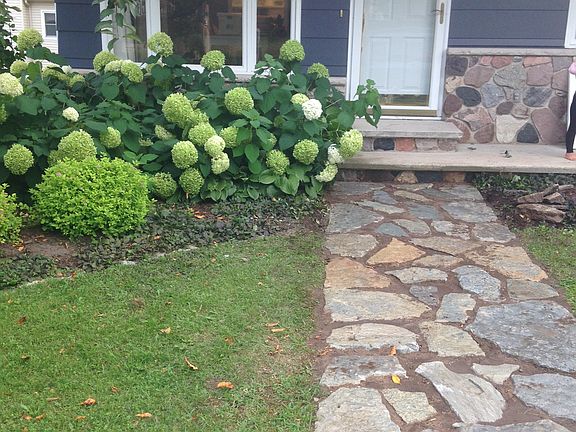 New Path Home 