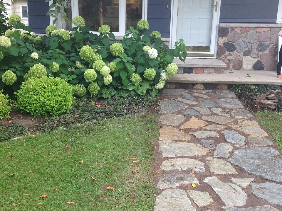 New Path Home 