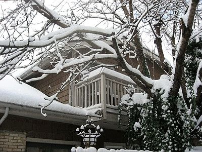 Upper Level Winter 2008