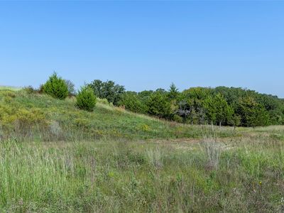 110 Pringle Ct, Alvord, TX, 76225