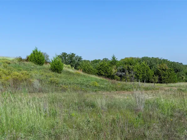 110 Pringle Ct, Alvord, TX 76225