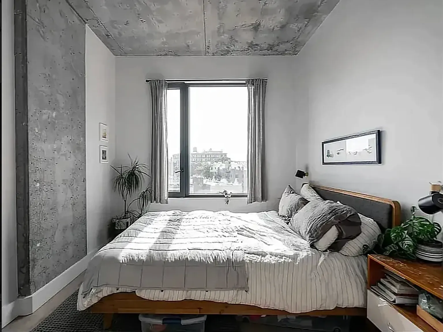 815 Flatbush Avenue — Photo 2