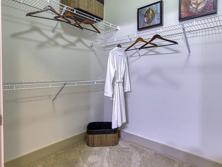 Large Walk-in Closets