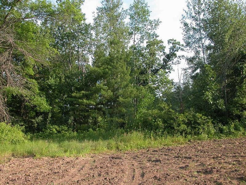 2nd image of County Road D
