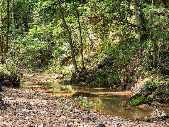 3rd image of 0 Long Spring Rd