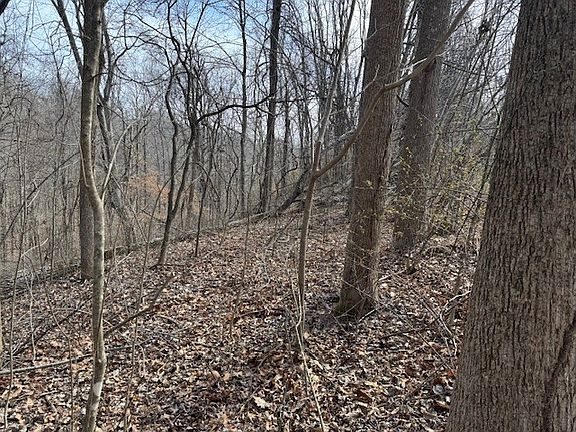 5th image of 0 Wildwood St Lot 83