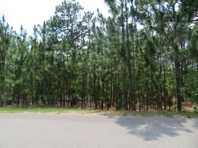 184 Woodbine Way, Carthage, NC, 28327