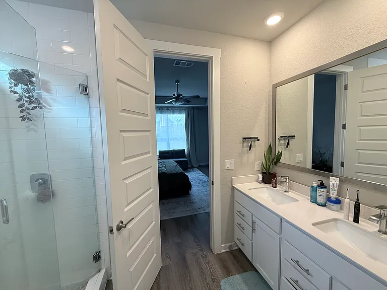 Master Bathroom (with walk-in closet)