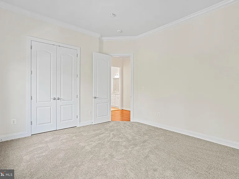 13551 Triadelphia Mill Rd — Photo 47
