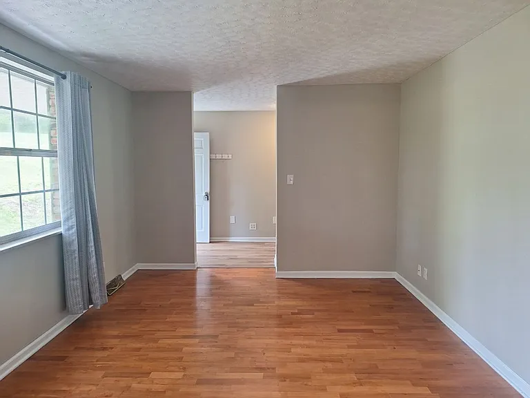 10831 Sonja Dr — Photo 3