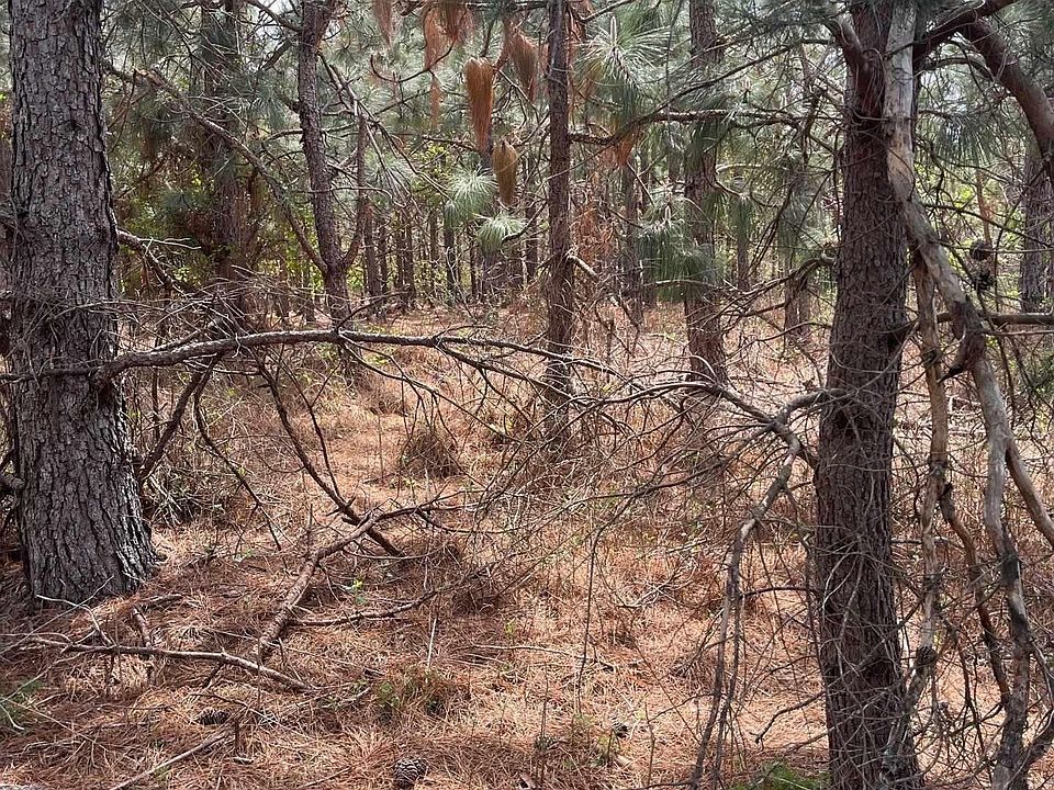 2nd image of Bdf 7 Beaverdam Rd #Bdf-7