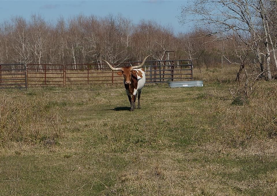 1st image of 6427 County Road 166